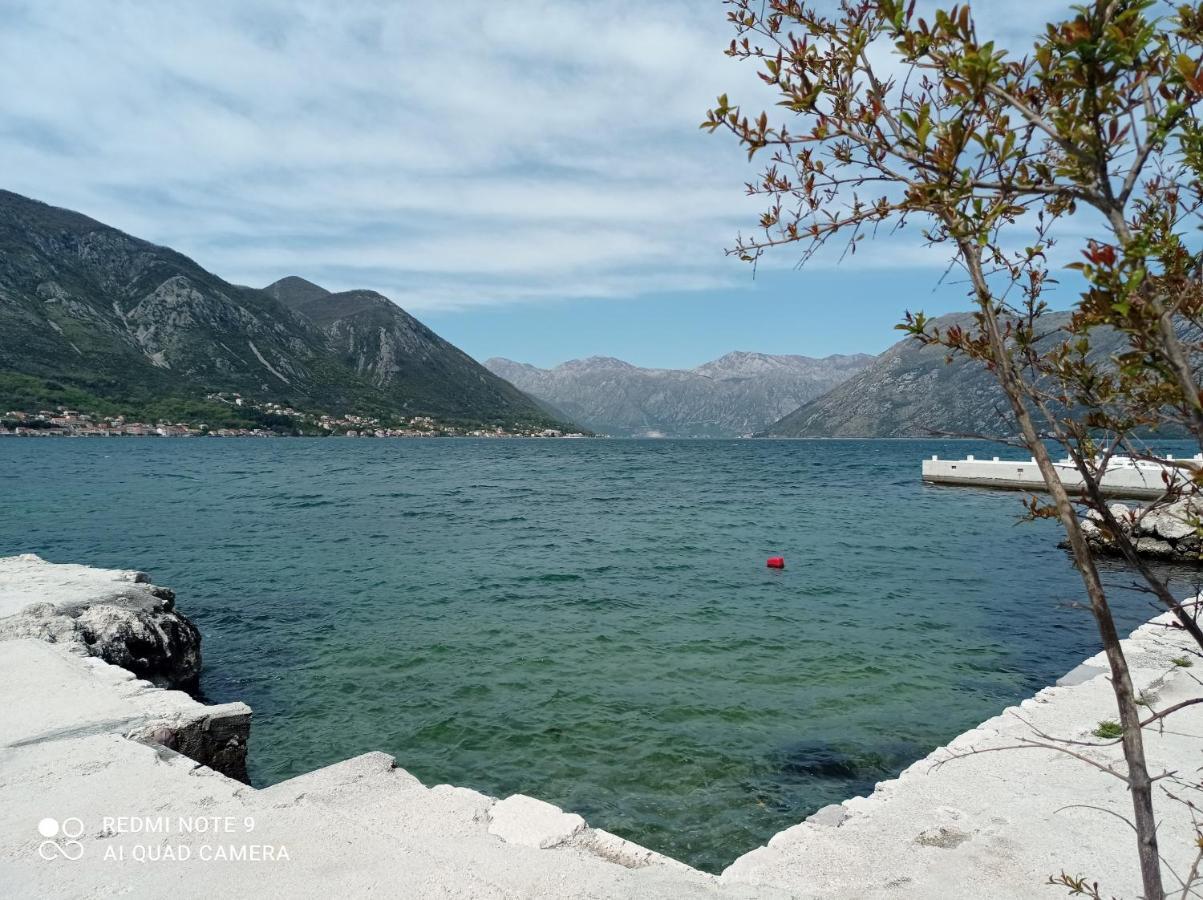 Apartman Milena 1 Kotor Exterior photo